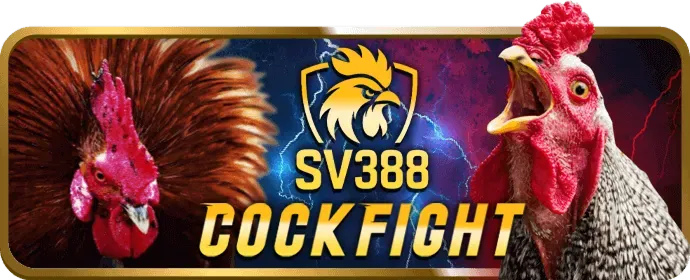 Vin33热门游戏策略与赢钱技巧